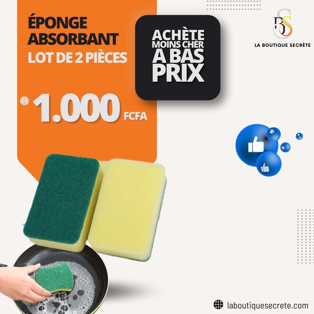 Éponge  absorbant lot de 2 pièces - La boutique secrète