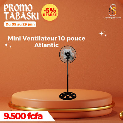 Mini Ventilateur 10 pouce
