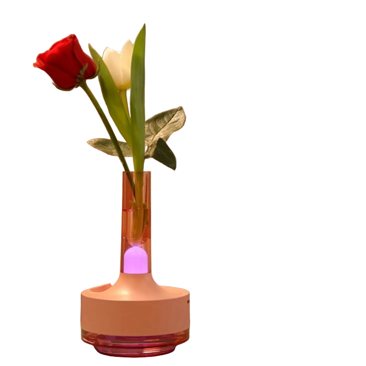 Humidificateur Vaséa™ 3-en-1 – Vase Déco + Brumisation + Lumière LED